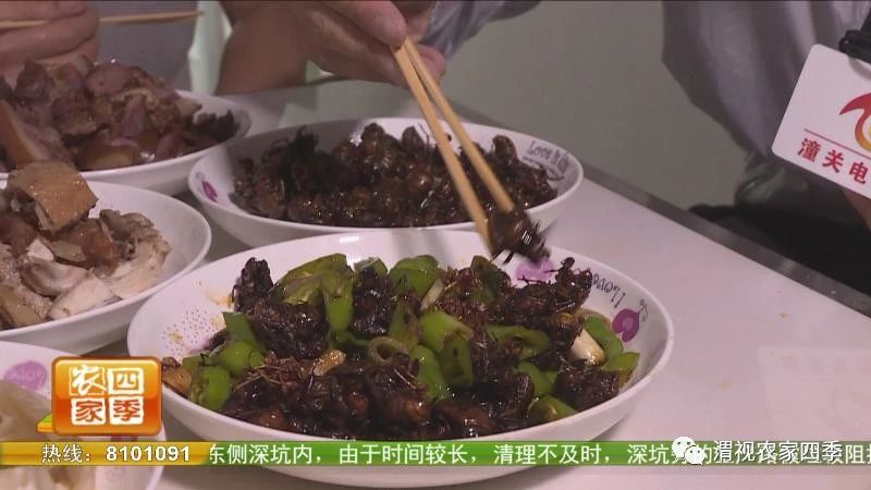 夏日纳凉好不惬意,夏日纳凉