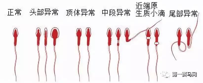 七夕到了单身狗报告,七夕快到了依然是单身狗