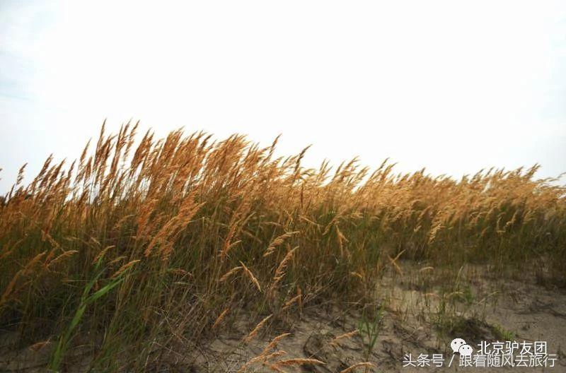 乐亭虹宇国旅月坨岛水上小木屋,月坨岛小木屋景色