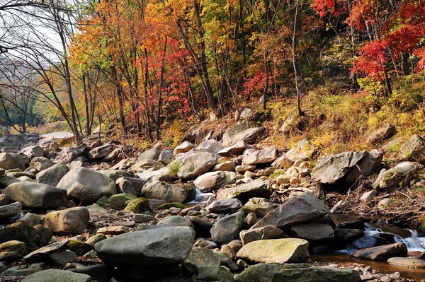 抚顺猴石森林公园视频,抚顺猴石国家森林公园有啥玩的