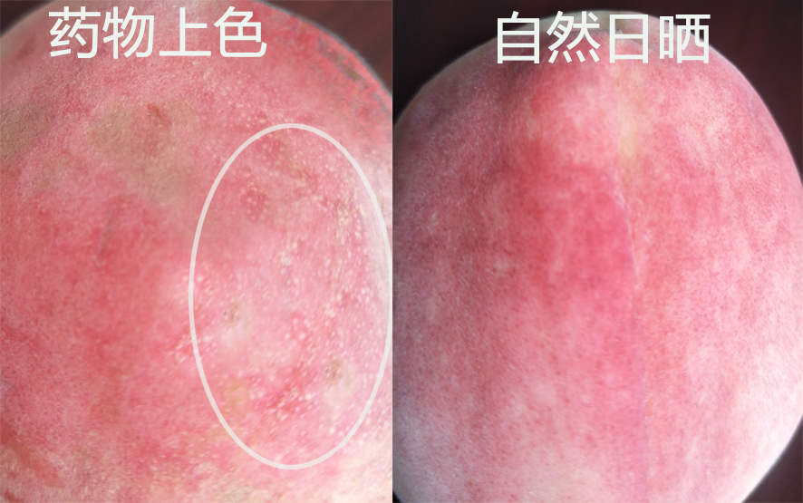 黄桃品种大全黄金黄桃,斑点脆油桃