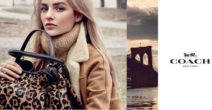 coach和coacher的区别,coach和trainer的区别