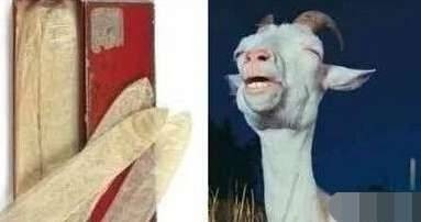 古代没有避孕药怎么避孕,古代没有节育环怎么避孕