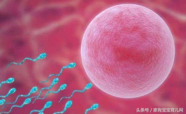 备孕期间排卵期有什么症状,排卵期备孕成功后多久会有症状