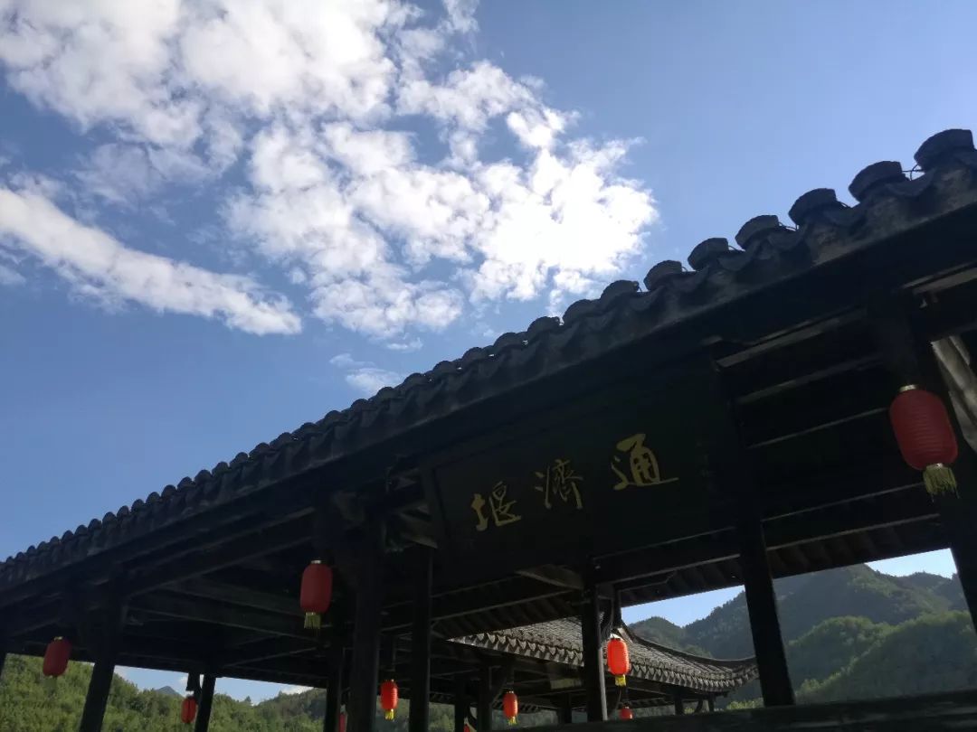 丽水古堰画乡：舟行碧波上，人在画中游｜长江日记