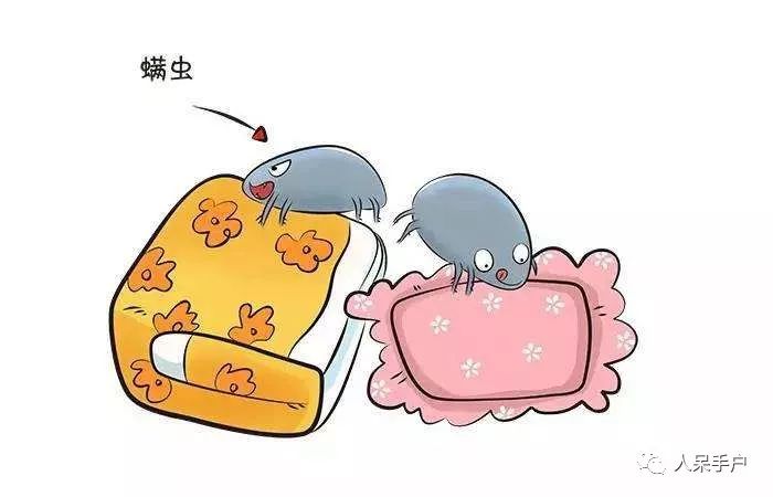 除螨那些事儿,关于除螨的那些事