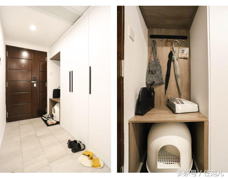 装修对猫咪的影响,怎么减少装修对猫的影响