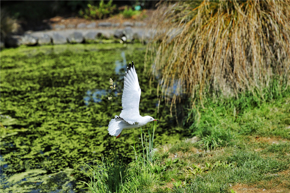 新手入手佳能全画幅6d2,eos6d全画幅