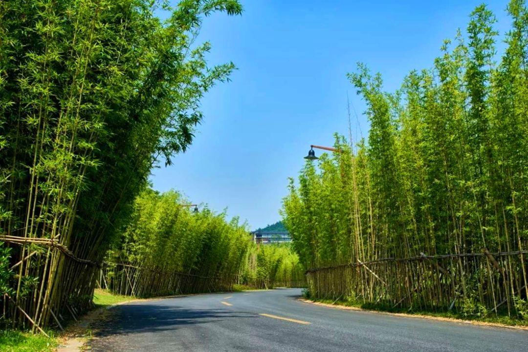 上海附近clubmed酒店,中国第一家clubmed度假村