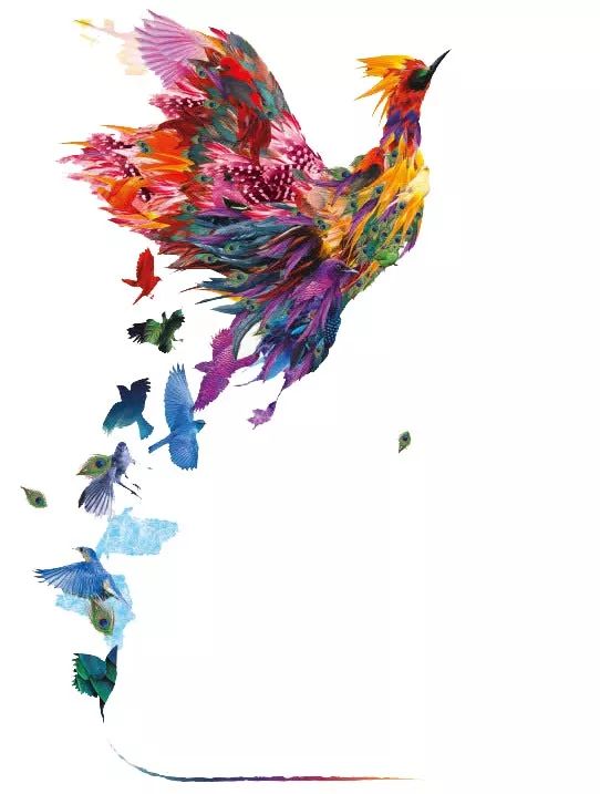 所谓情爱，佛云：不可说，不可说；子曰：如之何，如之何？