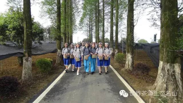 村连村户帮户*党**建引领共致富