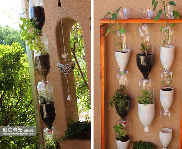 变废为宝自制栽培绿植器皿,塑料瓶创意绿植盆栽旧物利用