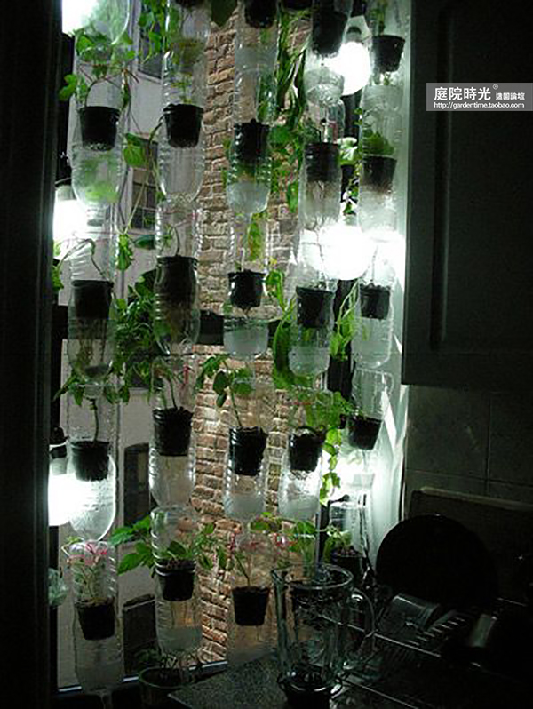 变废为宝自制栽培绿植器皿,塑料瓶创意绿植盆栽旧物利用