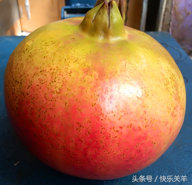 会理石榴之乡突尼斯软籽石榴,会理县软籽石榴之乡