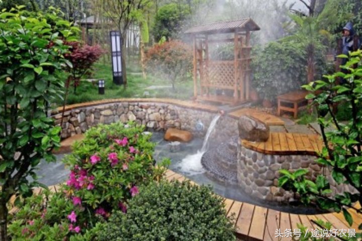 寨春农场青蛙乐园门票,荷塘水库青蛙乐园