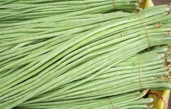 绿色豇豆怎么炒好吃,广西合浦豇豆