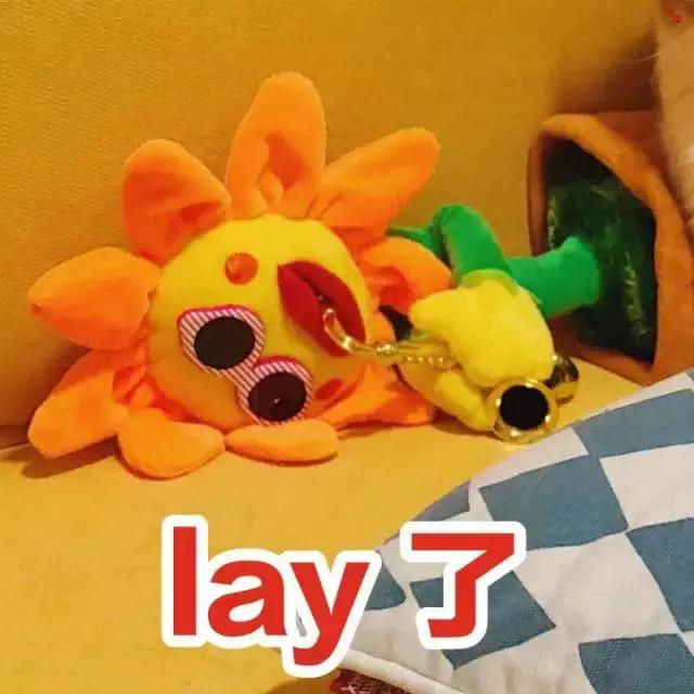 最火爆又难用的化妆品,好用的彩妆护肤产品良心推荐图