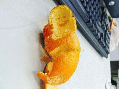 澶栫鍖荤敓閽堢嚎缂濆悎,澶栫鍖荤敓缂濆悎姗樺瓙