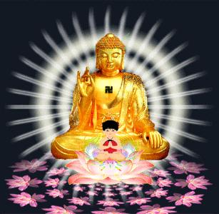 怎样知道自己的本命佛,如何知道自己的本命佛是哪个菩萨