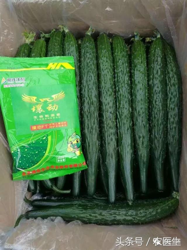 改善土壤板结专用药,专治土壤板结硬化酸化重茬