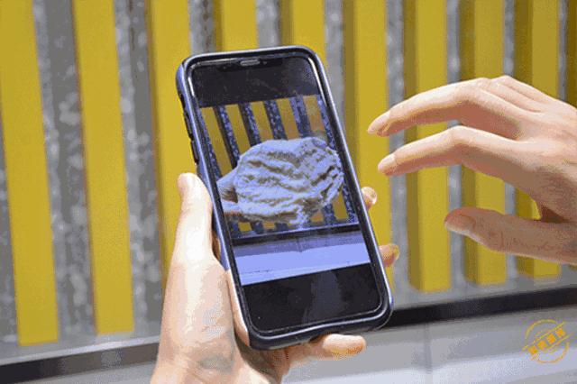 魔都“乳酪包扛霸子”首现淄博！排队挤爆万象汇！