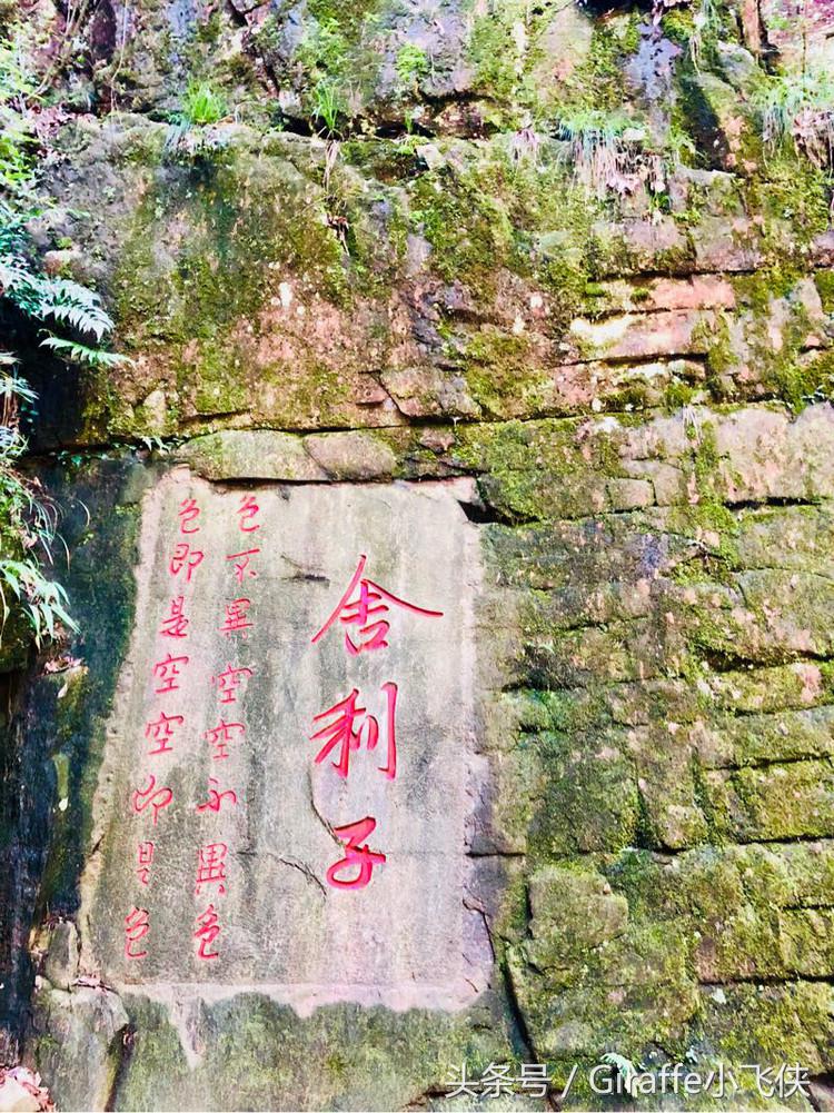 浙西深山里的小众秘境,隐匿在浙西大山里的绝美去处