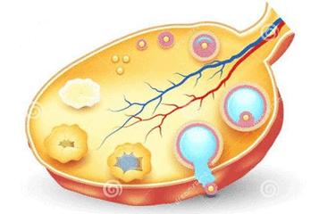 爱情引发的“腹腔内出血”，病因就来自这个日常的“亲昵行为”！