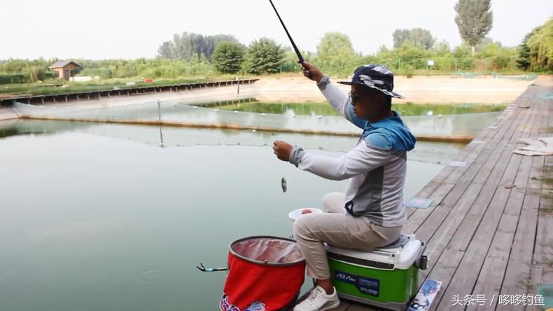 简单钓鱼摘钩器用法视频,钓鱼挡针器怎么取鱼钩