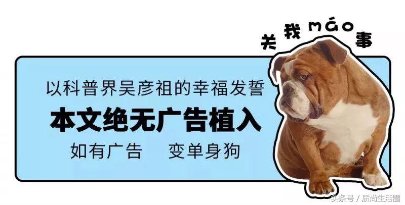 6款卫生巾柔软度测评,5g卫生巾评测视频