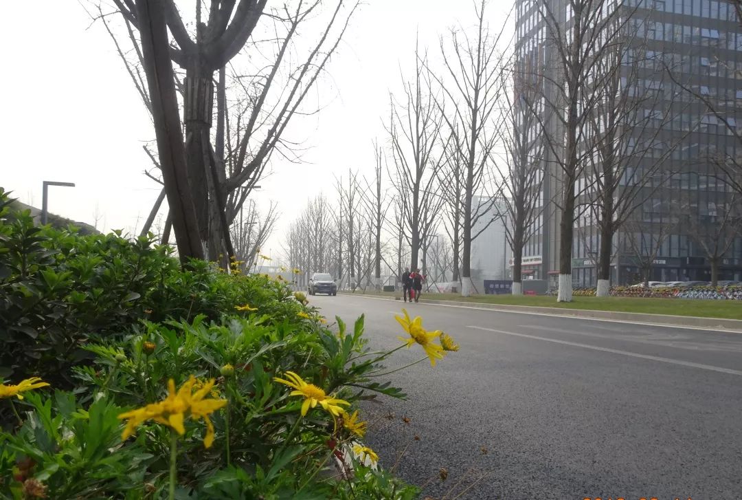 金牛又上榜了！这次是因为……