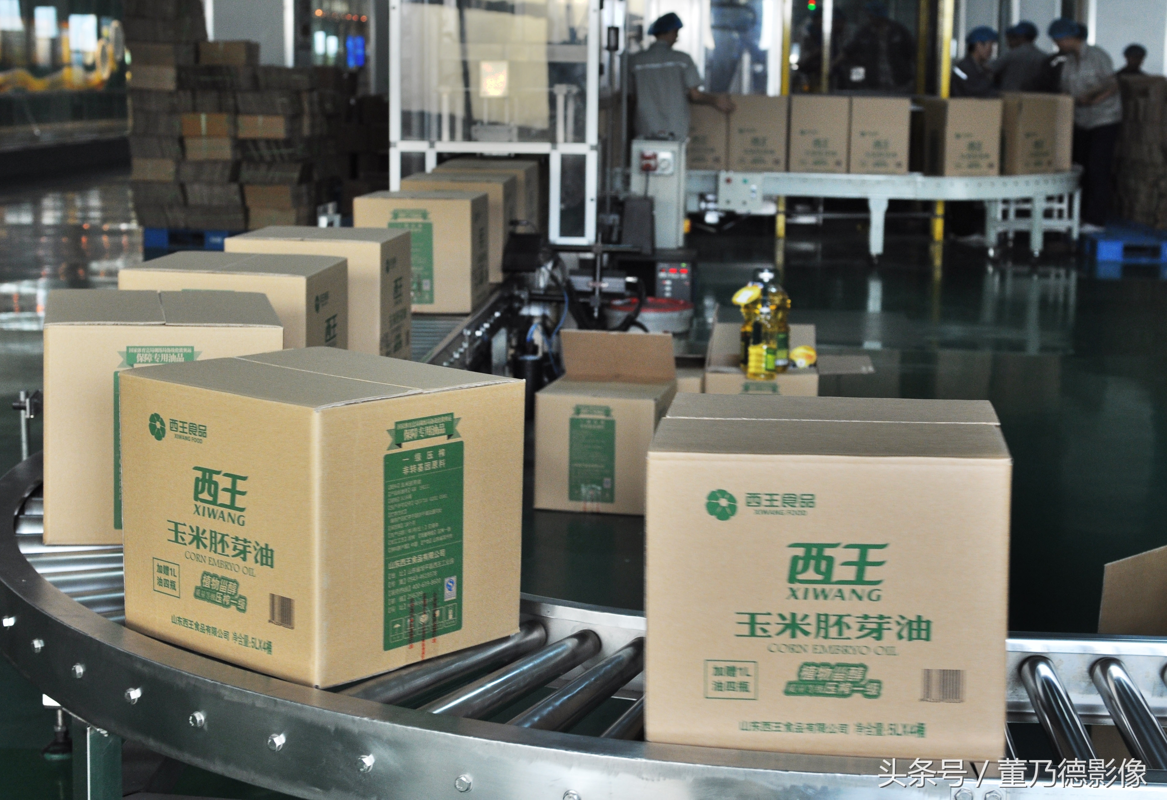 西王集团山东男篮,山东西王集团山东男篮