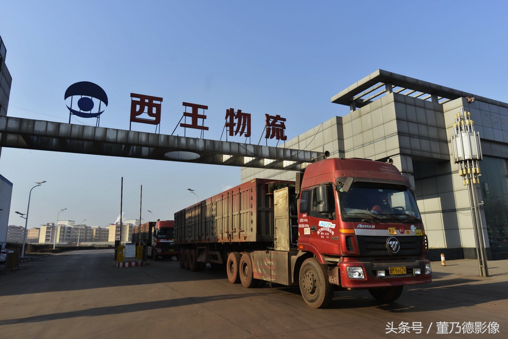 西王集团山东男篮,山东西王集团山东男篮