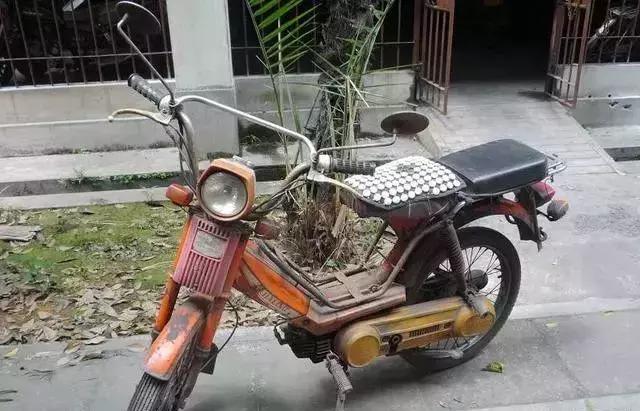 乐山话里竟藏着“有味道”的小秘密！知道的人越来越少了！