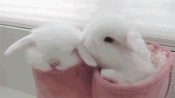 好用的前男友面膜推荐哪个,前男友面膜最低价