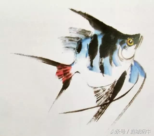 国画锦鲤鱼的画法与调色,国画写意神仙鱼100图欣赏