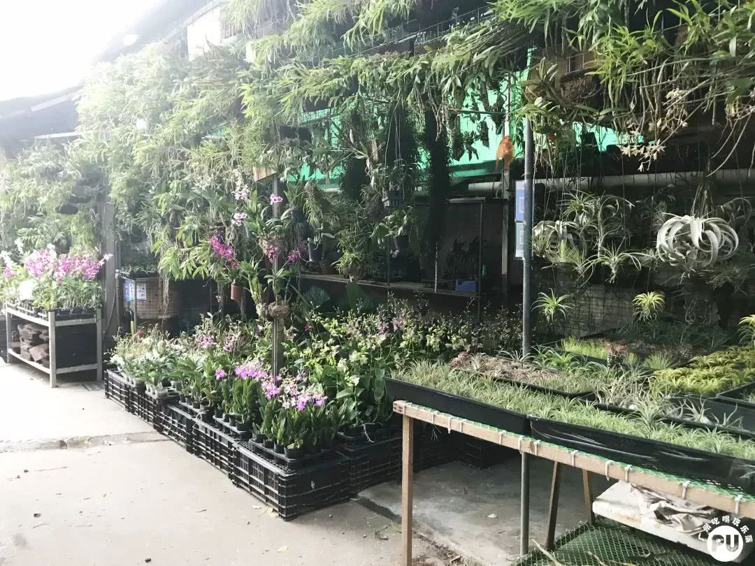 广州便宜又好看的批发市场,广州年前批发市场买衣服地方推荐