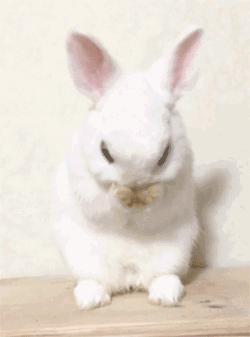 洗面奶没选好会起痘痘吗,洗面奶没洗干净伤到皮肤