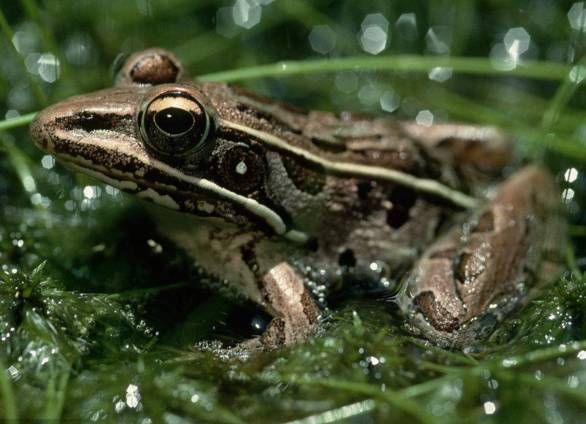 农村小型厂致富商机,农村商机加盟项目
