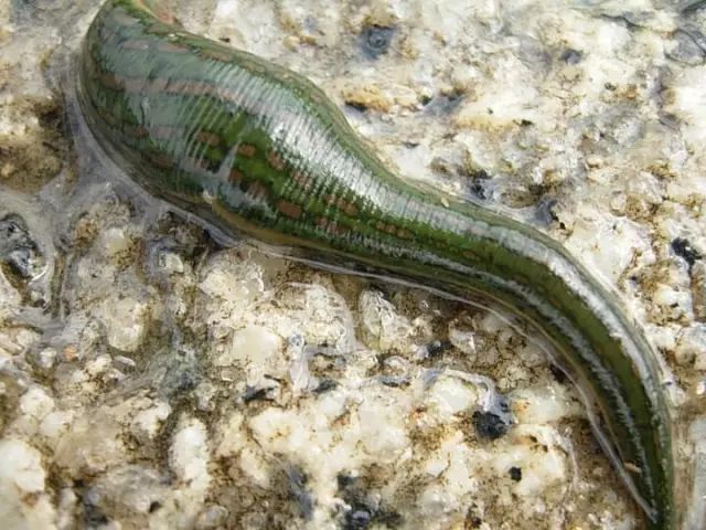 农村小型厂致富商机,农村商机加盟项目