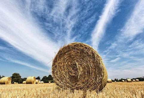 农村小型厂致富商机,农村商机加盟项目