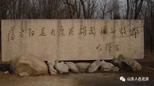 山东真相百分百靠谱吗,山东曝光的新闻