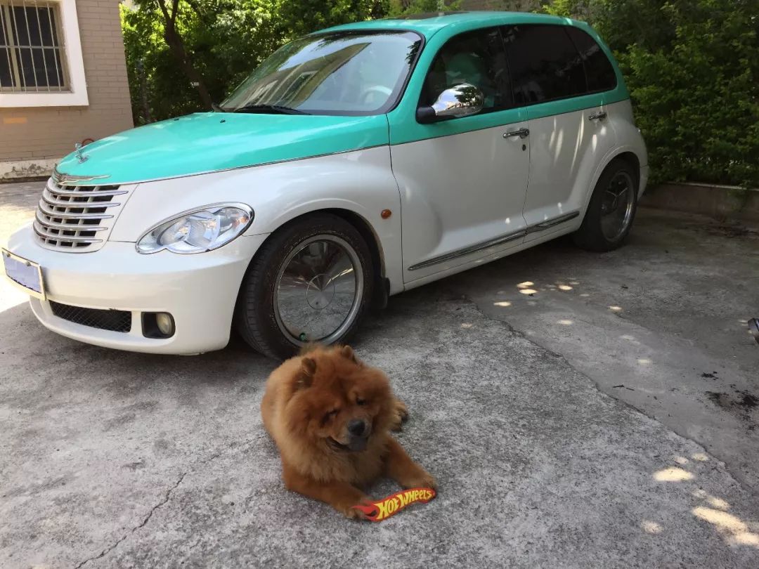 男人从未长大只是玩具在变 (男人从不曾长大只是玩具变了)