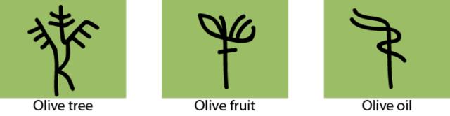 今生广种橄榄树，来世还做陇南人！