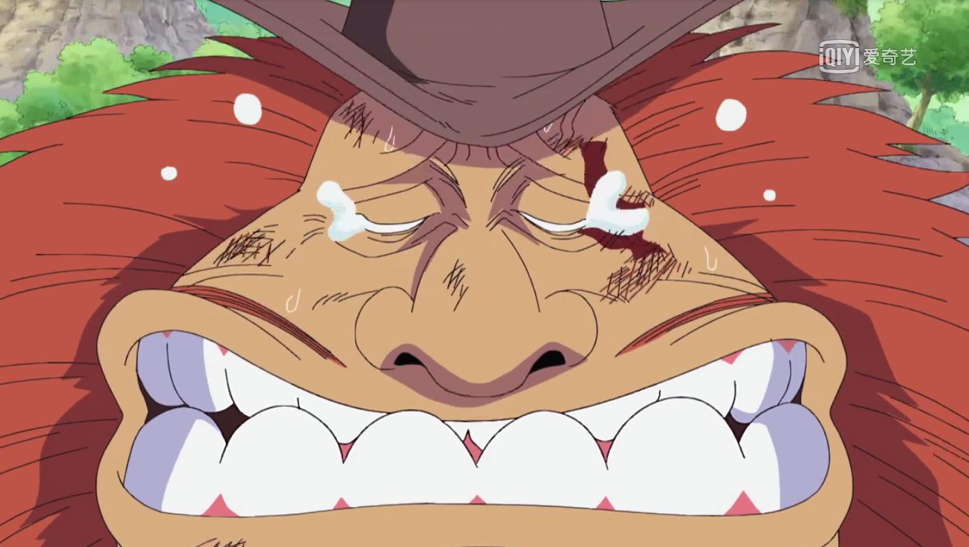 海贼王d的真正含义,海贼王d之一族的秘密