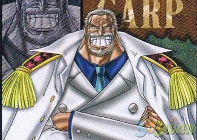 海贼王d的真正含义,海贼王d之一族的秘密