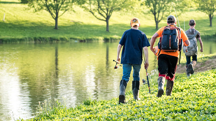 钓了这么多年鱼,钓了这么多年的鱼
