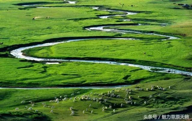 一座去了不想走的城市成都,一座去了还想去的城
