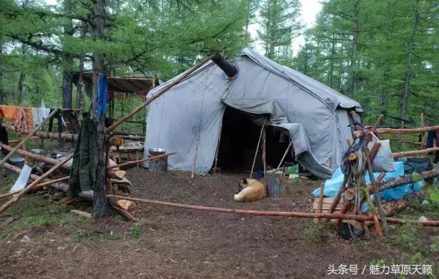 一座去了不想走的城市成都,一座去了还想去的城