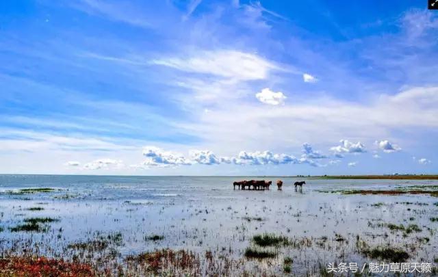 一座去了不想走的城市成都,一座去了还想去的城