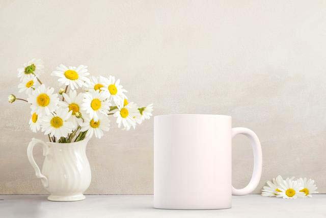 学了平面设计可以做淘宝美工吗,美工转行ui设计师